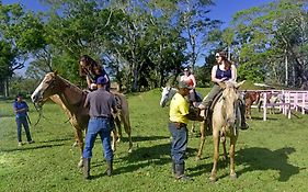 Banana Bank Lodge & Jungle Horseback Adventures